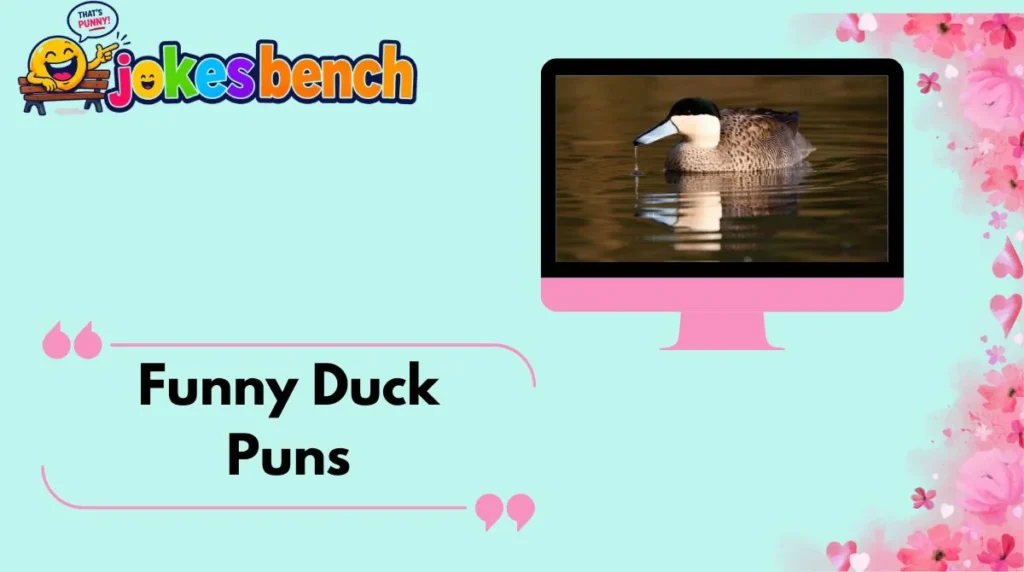 Funny Duck Puns