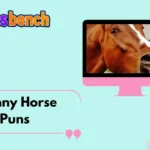 Funny Horse Puns