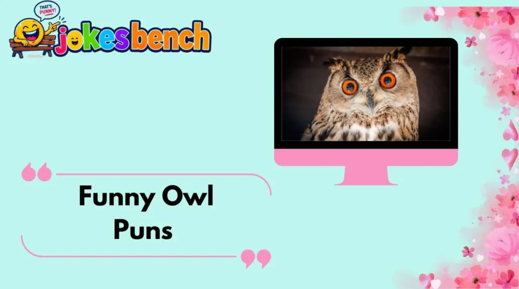 Funny Owl Puns