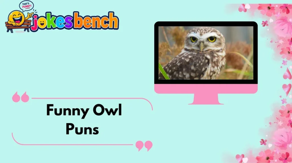 Funny Owl Puns