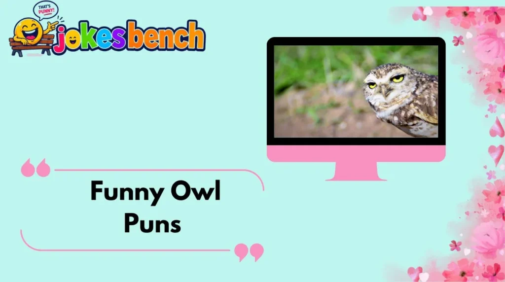 Funny Owl Puns