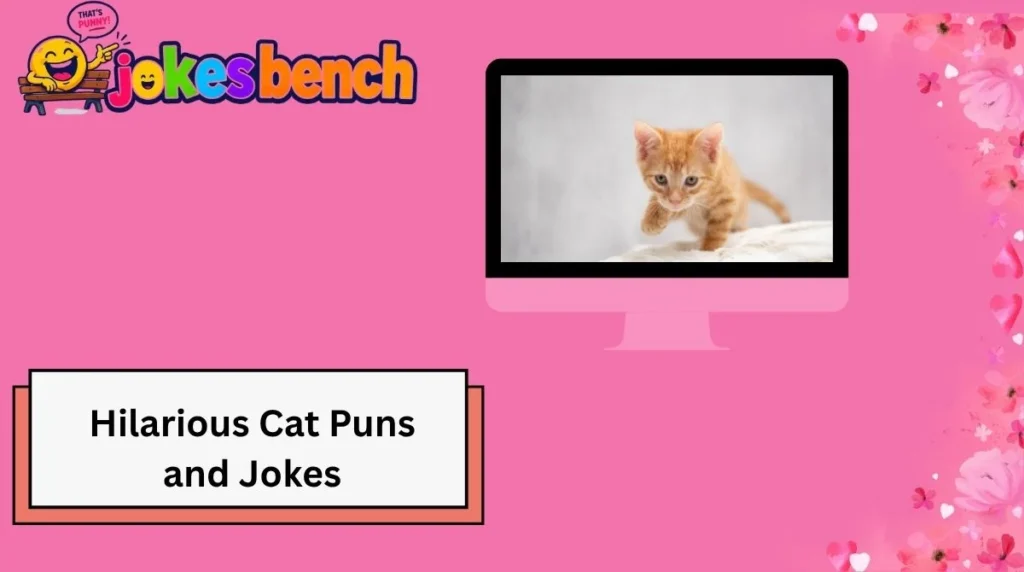 Hilarious Cat Puns and Jokes