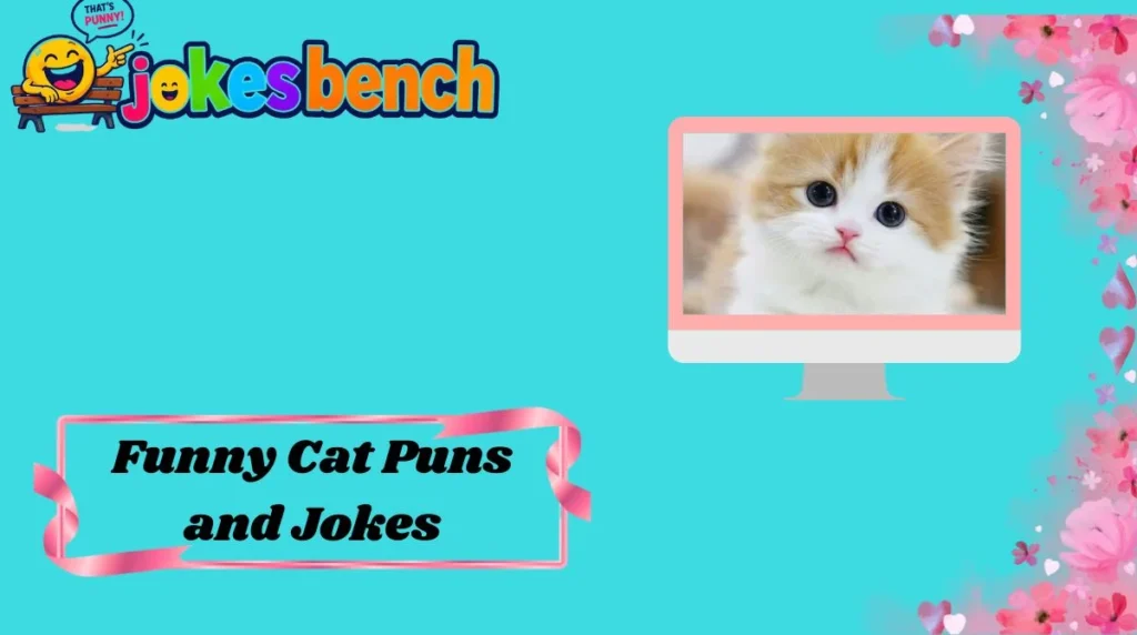 Funny Cat Puns and Jokes