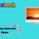 Funny Sunrise Puns