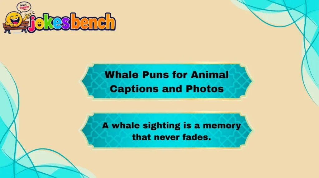 Whale Puns for Animal Captions and Photos